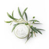 Olive Virgin Oil Essential Cream - Bella Tokyo